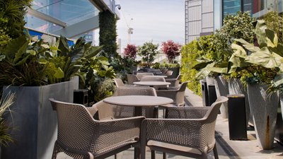 Foliage seating roof terrace