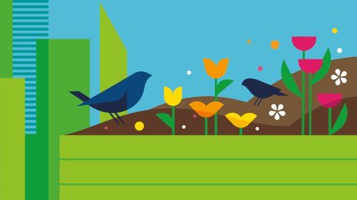 Drawing of birds next to flowers