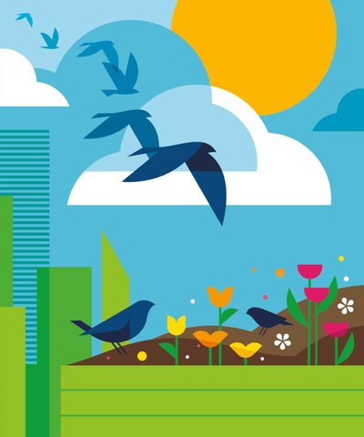 Drawing of birds and flowers